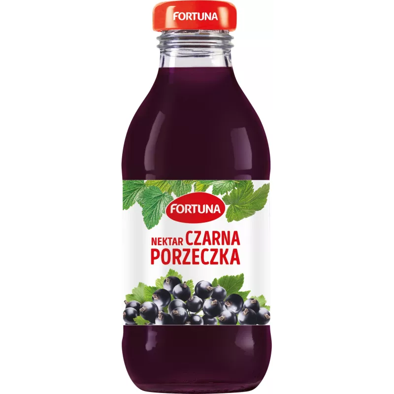 Fortuna Szkło czarna porzeczka 0.3l x 15 sztuk